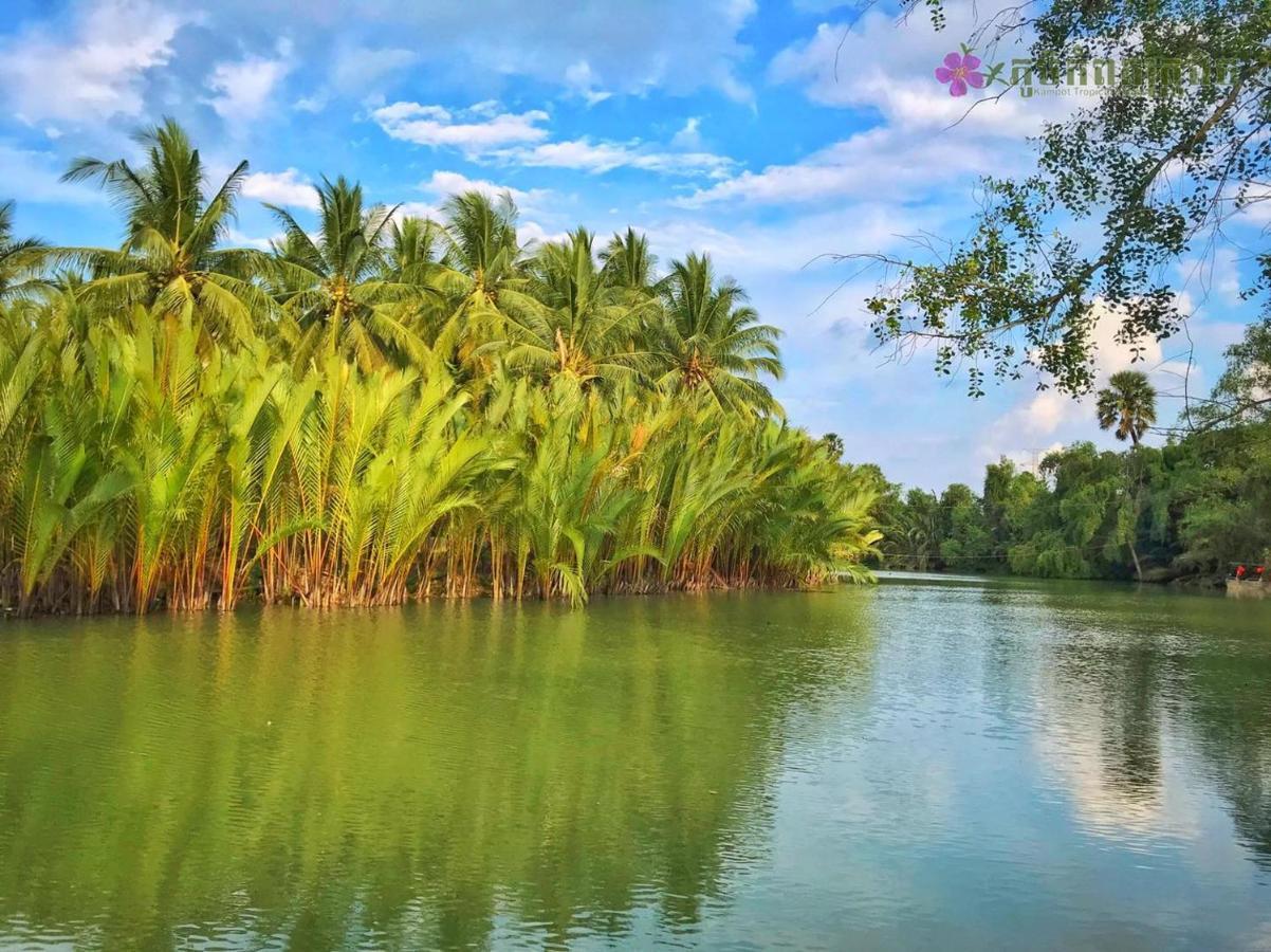 Kampot Tropical Village Exteriör bild
